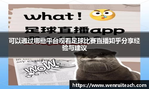 今年会网站