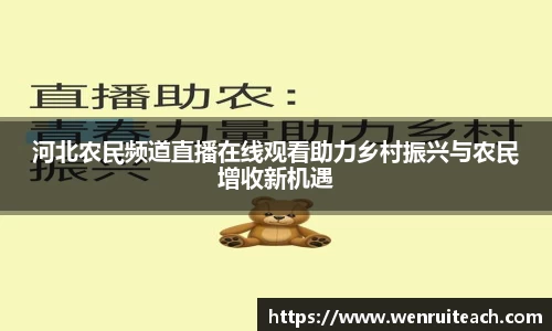 河北农民频道直播在线观看助力乡村振兴与农民增收新机遇